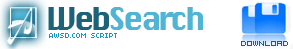Web Search
