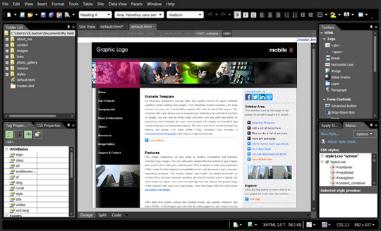 Expression Web Editing