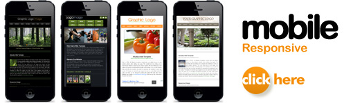 Responsive Website Templates