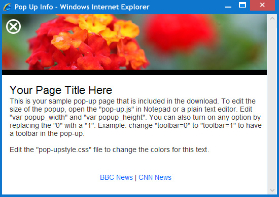 Click to View Popup Window Example