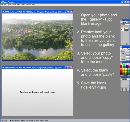Gallery Image Close Up Editing - Copy and Paste