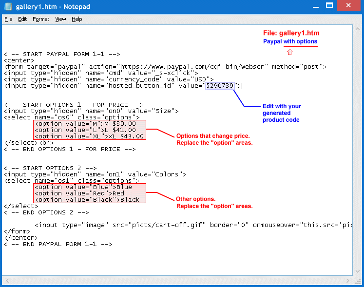 Paypal Form Type #2 HTML View